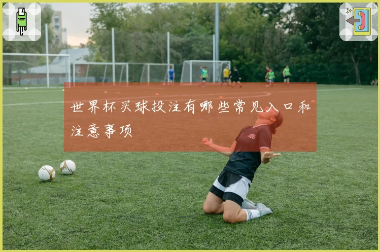 世界杯买球投注有哪些常见入口和注意事项