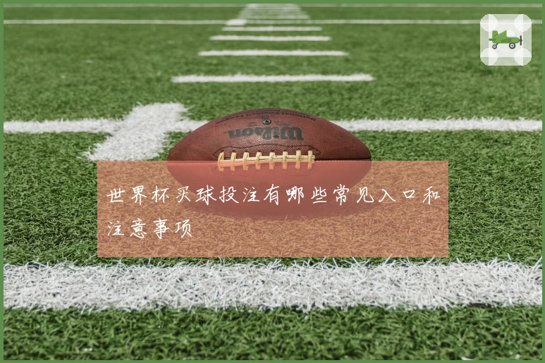 世界杯买球投注有哪些常见入口和注意事项
