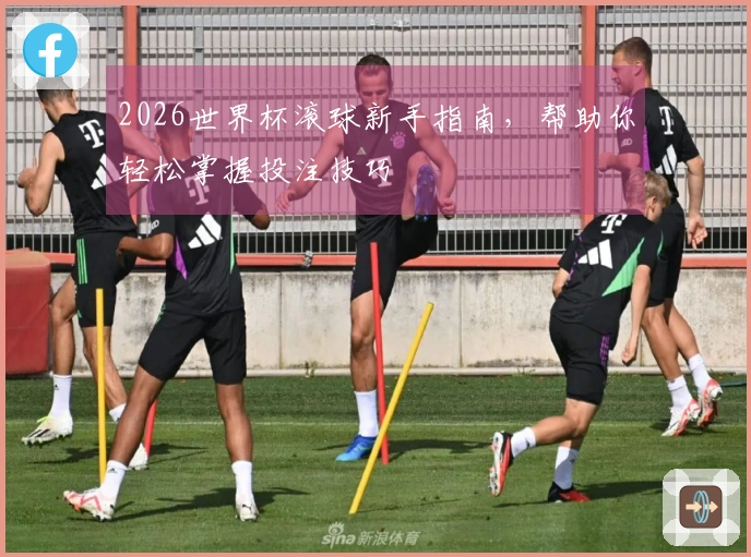 2026世界杯滚球新手指南，帮助你轻松掌握投注技巧