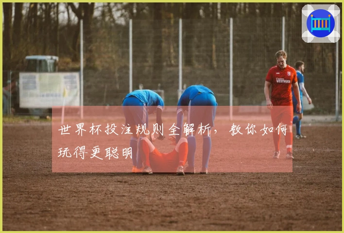 世界杯投注规则全解析，教你如何玩得更聪明