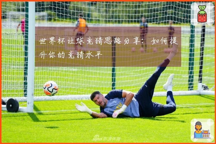 世界杯让球竞猜思路分享：如何提升你的竞猜水平